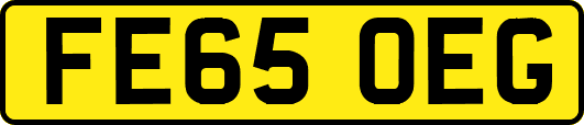FE65OEG