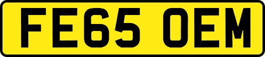 FE65OEM