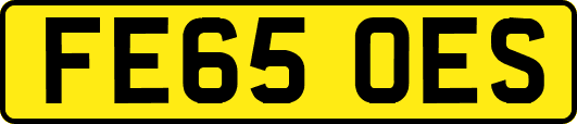 FE65OES