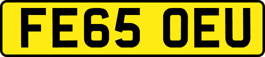 FE65OEU