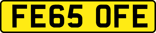 FE65OFE