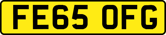 FE65OFG
