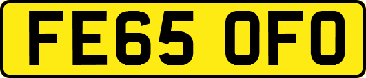 FE65OFO