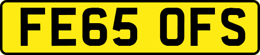FE65OFS