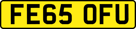 FE65OFU