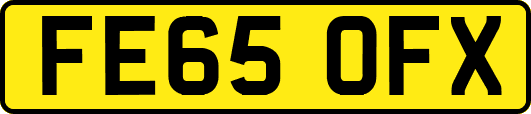 FE65OFX