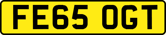 FE65OGT