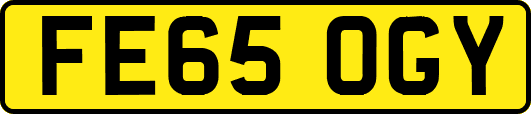 FE65OGY