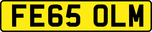 FE65OLM