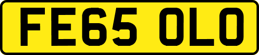 FE65OLO