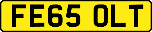 FE65OLT