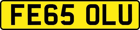 FE65OLU