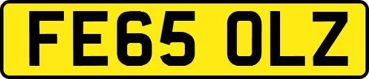 FE65OLZ