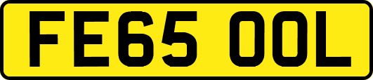 FE65OOL
