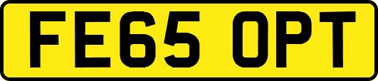 FE65OPT