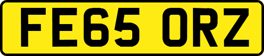 FE65ORZ