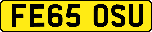 FE65OSU