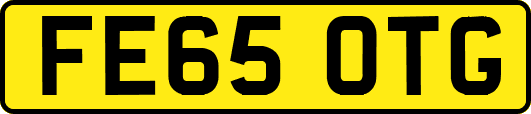 FE65OTG