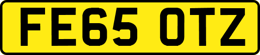 FE65OTZ