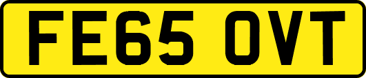 FE65OVT