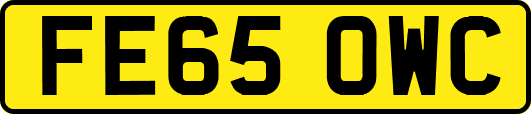 FE65OWC
