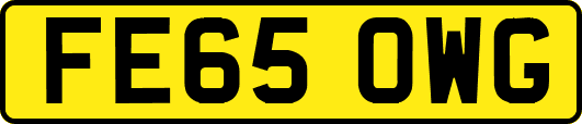 FE65OWG