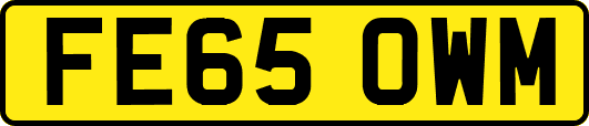 FE65OWM
