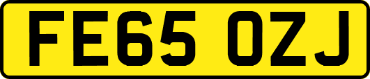 FE65OZJ