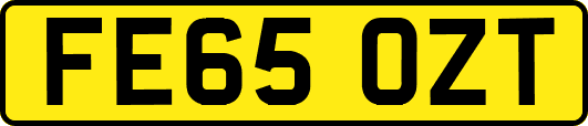 FE65OZT