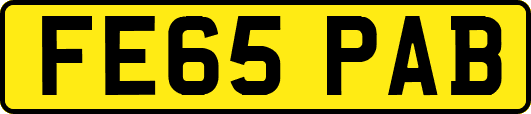 FE65PAB