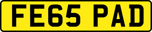 FE65PAD