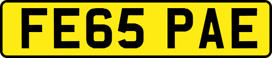 FE65PAE