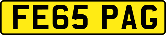 FE65PAG
