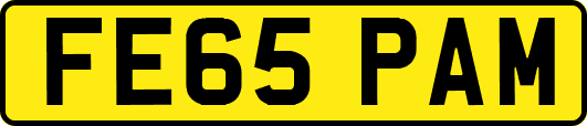 FE65PAM