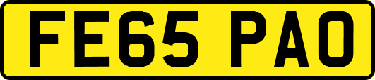 FE65PAO
