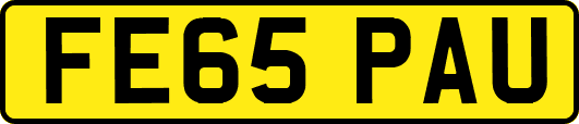 FE65PAU