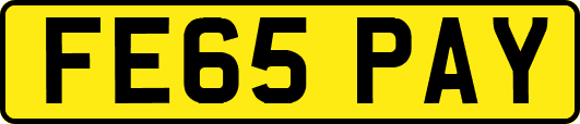 FE65PAY