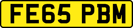 FE65PBM