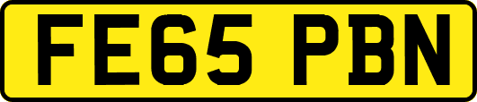 FE65PBN