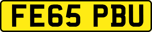 FE65PBU