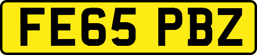 FE65PBZ
