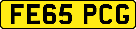 FE65PCG