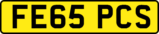 FE65PCS