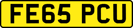 FE65PCU