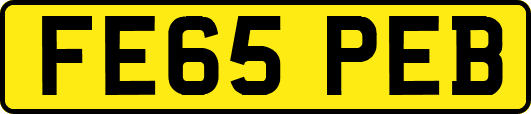 FE65PEB