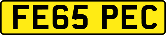 FE65PEC