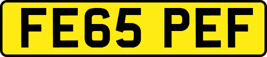 FE65PEF