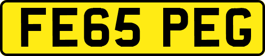 FE65PEG