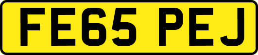 FE65PEJ