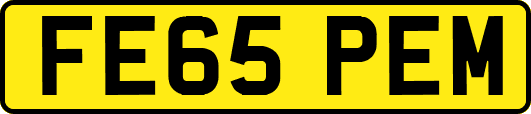 FE65PEM